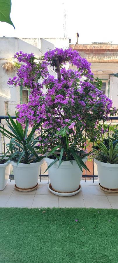 ホテル Giambattista House バーリ エクステリア 写真